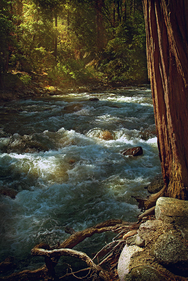 Water Rushing Over Rocks In Rural River Photograph by Chris Clor