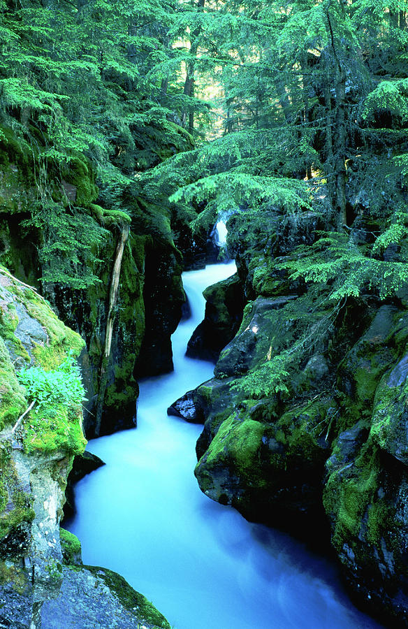 Water Rushing Through Avalanche Creek Photograph by Holger Leue