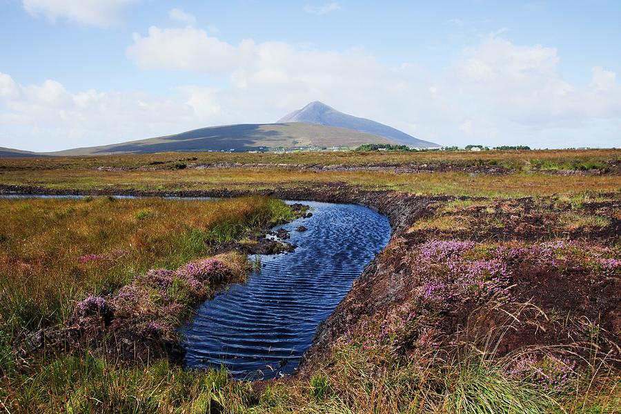 Water Source In Irish Bog Photograph by Design Pics / Peter Zoeller
