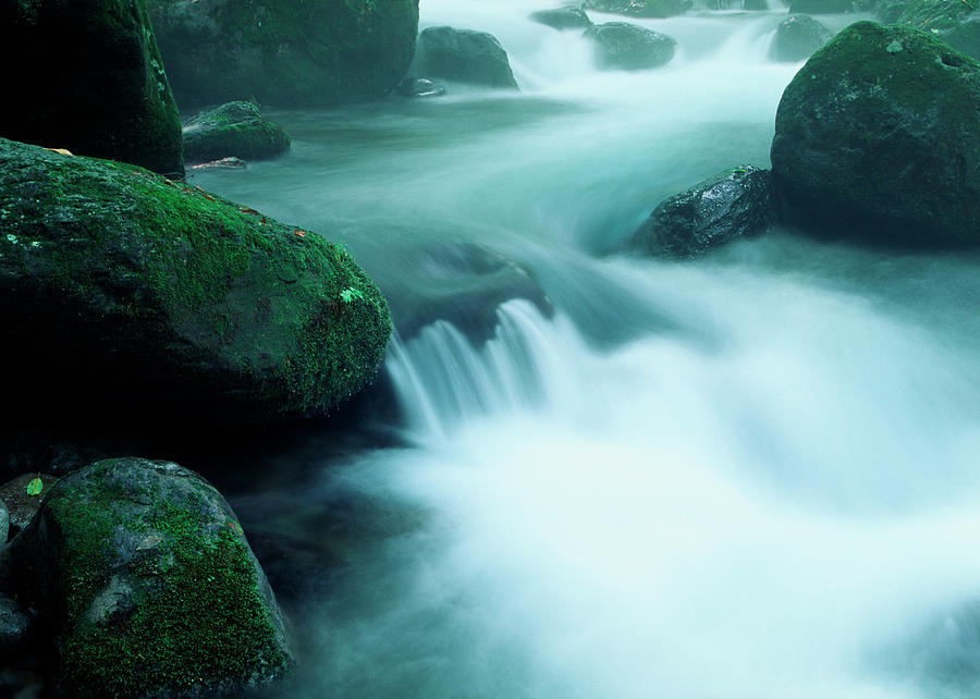 Water Stream Photograph by Ooyoo