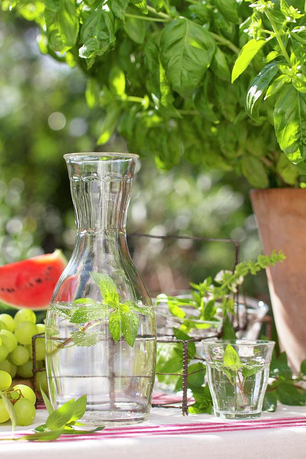 Water With Mint In Glass Carafe On Set Table Outdoors Photograph by Angela Francisca Endress
