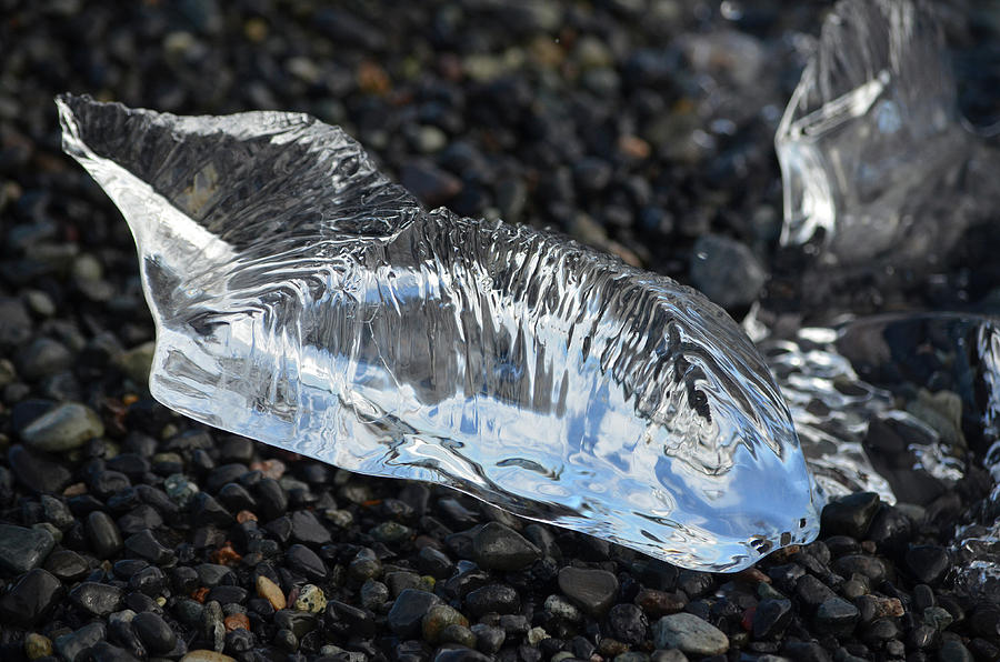 Water Worn Glacial Ice Fragment Diamond Beach Iceland Photograph by Shawn OBrien