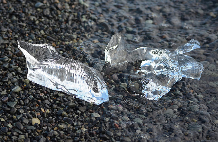 Water Worn Glacial Ice Fragments Diamond Beach Iceland Photograph by Shawn OBrien