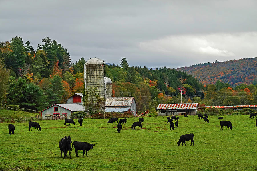 Waterbury VT Cattle Farm Silo Fall Foliage New England Field Photograph by Toby McGuire