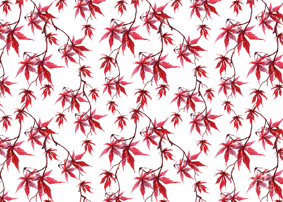 Watercolor Botanical Red Japanese Maple Leaves on Solid White Background  Digital Art by PIPA Fine Art - Simply Solid