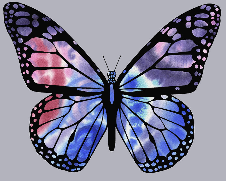 Watercolor Butterfly On Gray XI Painting by Irina Sztukowski