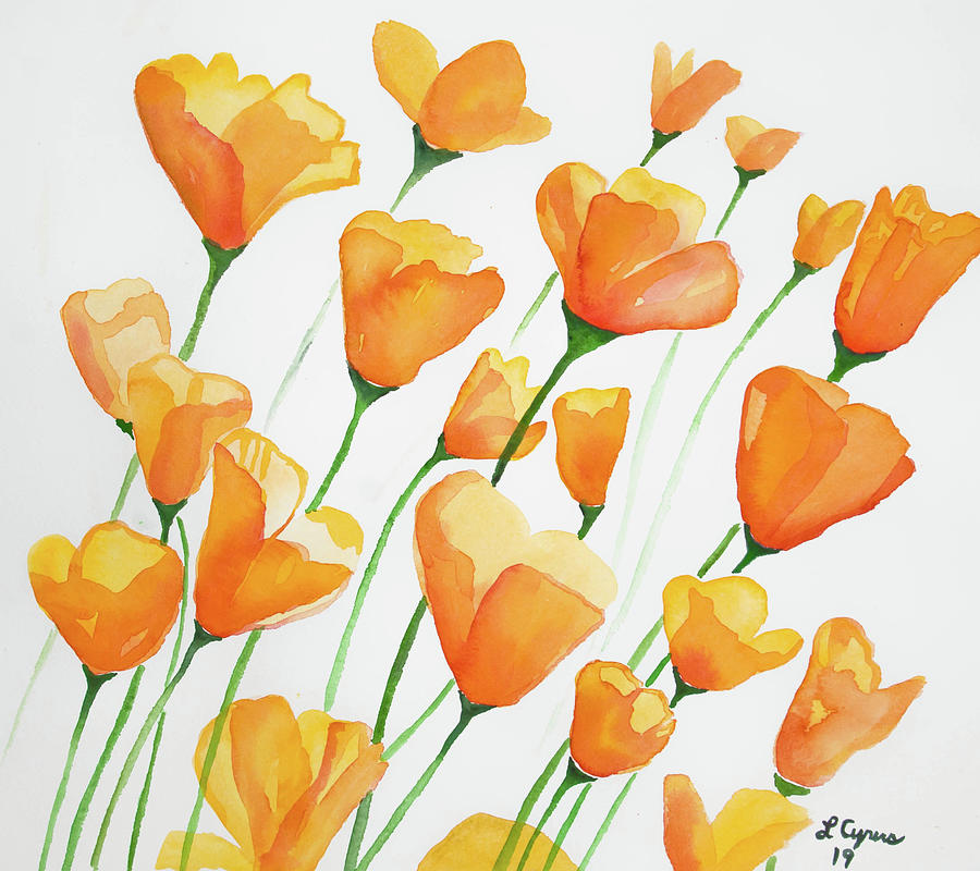 Watercolor  - California Poppies Painting by Cascade Colors