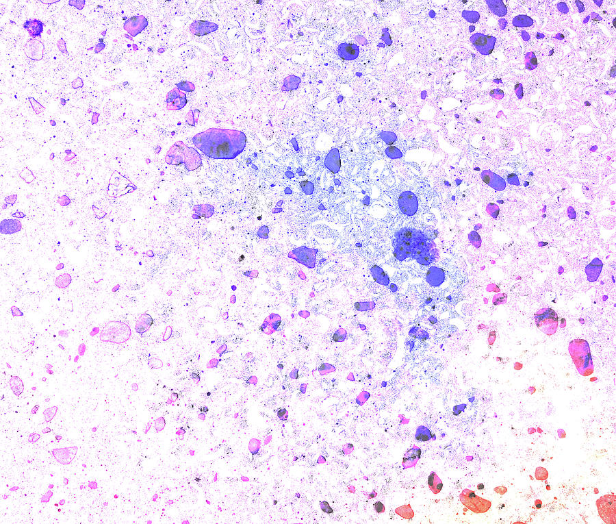 Watercolor Drops by Jocelyn Friis Watercolor Drops by Jocelyn Friis