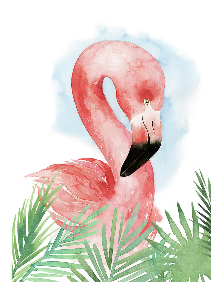 Animal Painting - Watercolor Flamingo Composition I by Grace Popp