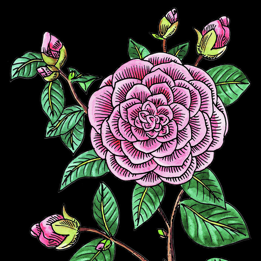Watercolor Flower Japanese Camellia Painting by Irina Sztukowski