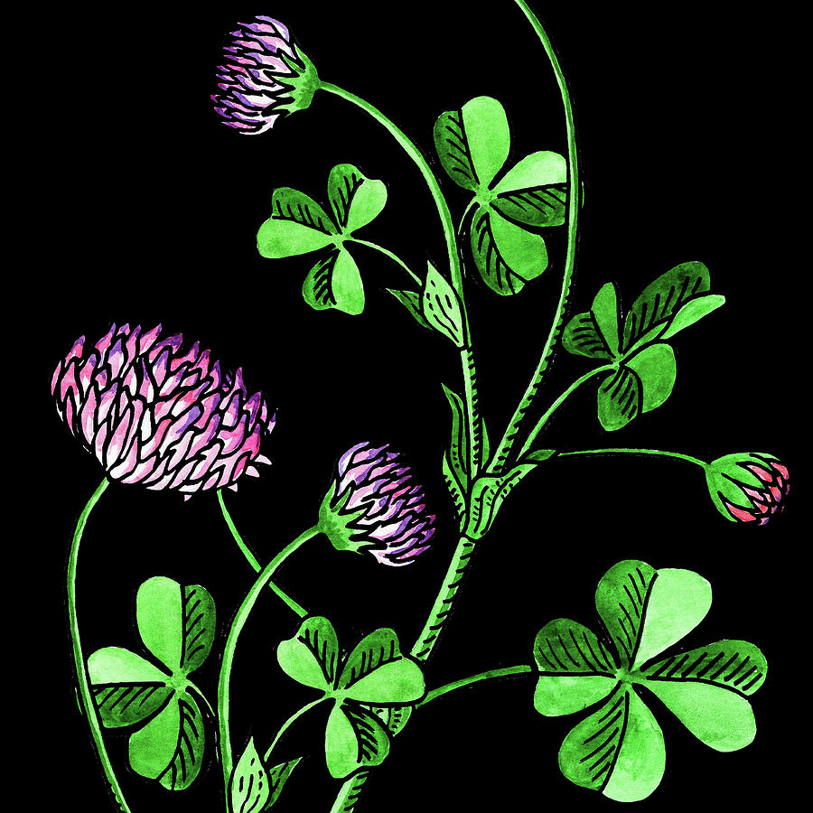 Watercolor Flower Lucky Clover Painting