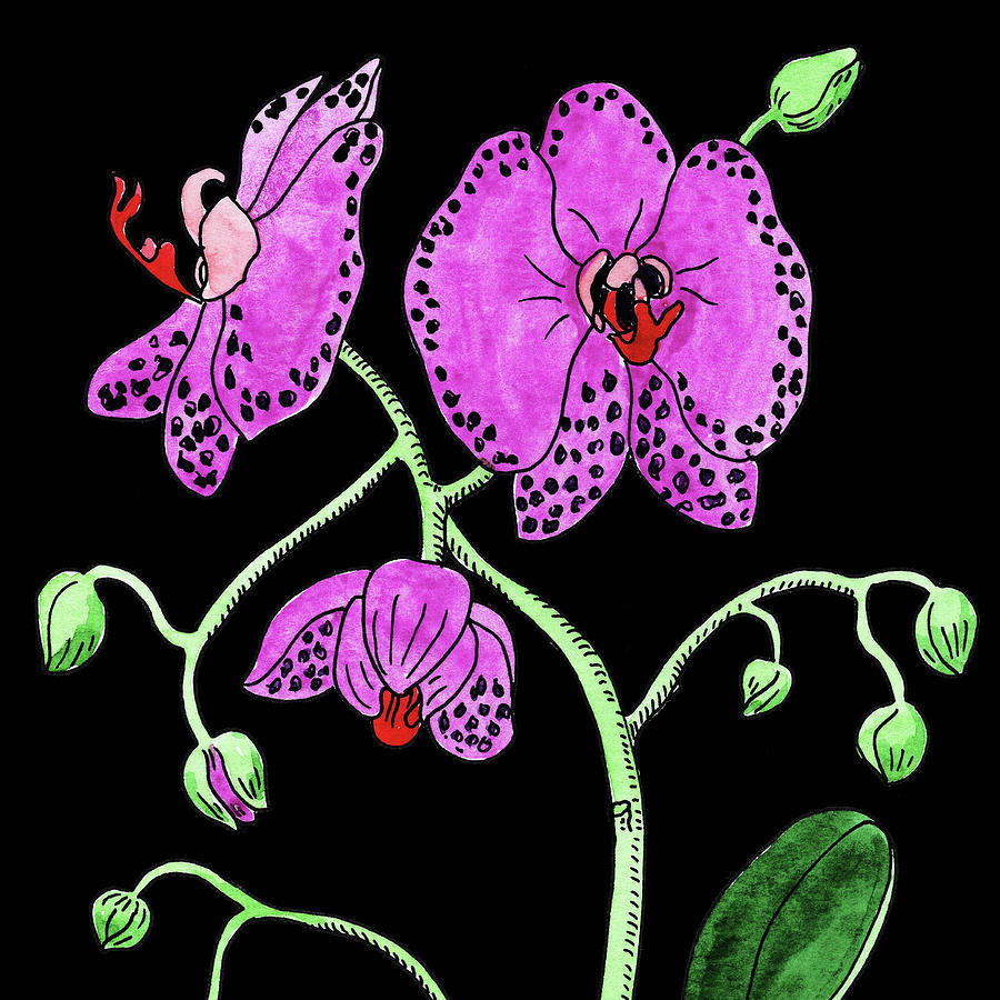 Watercolor Flower Moth Orchid  Painting by Irina Sztukowski