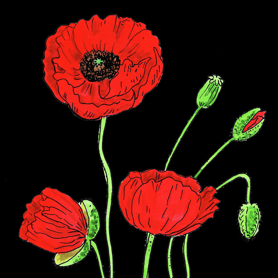 Watercolor Flower Red Poppy Painting by Irina Sztukowski