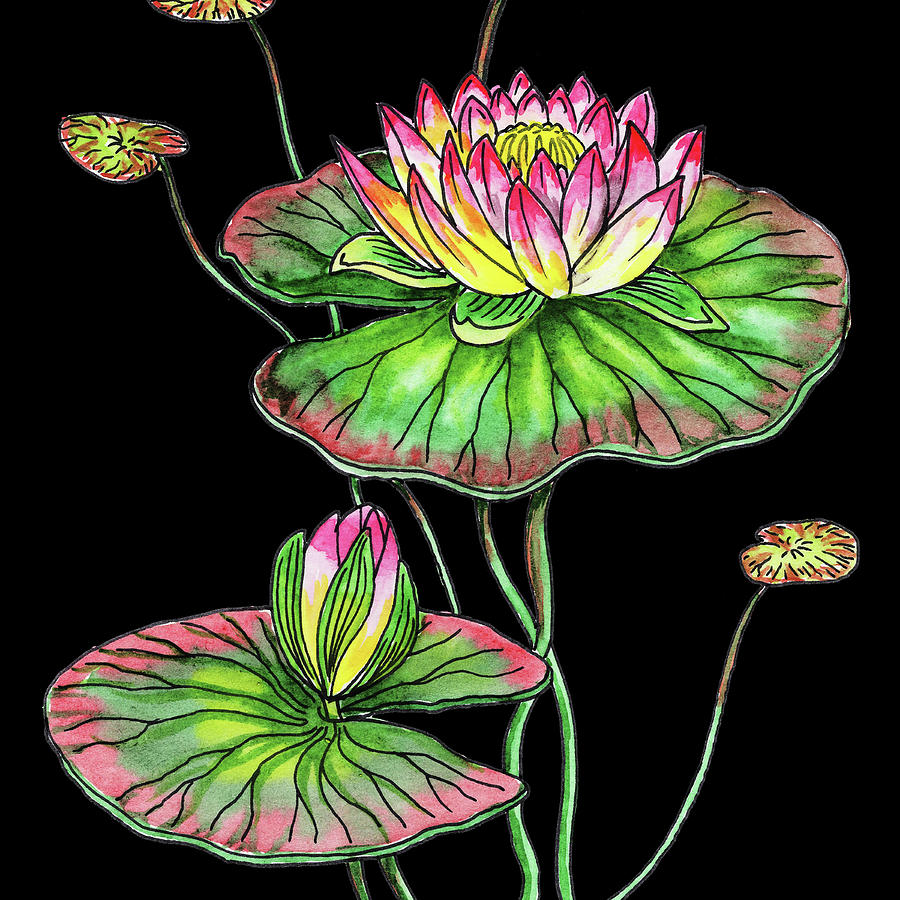 Watercolor Flower Waterlily Painting