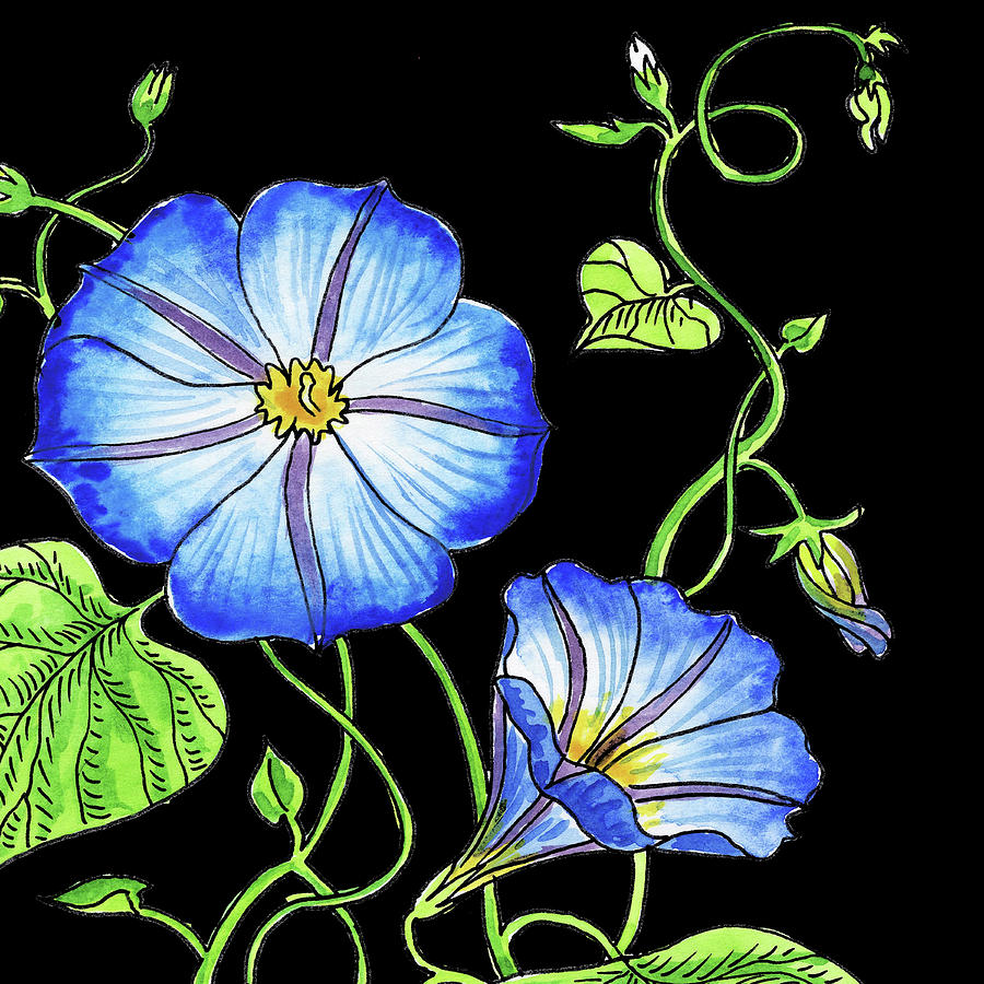 Watercolor Flowers Morning Glory Painting