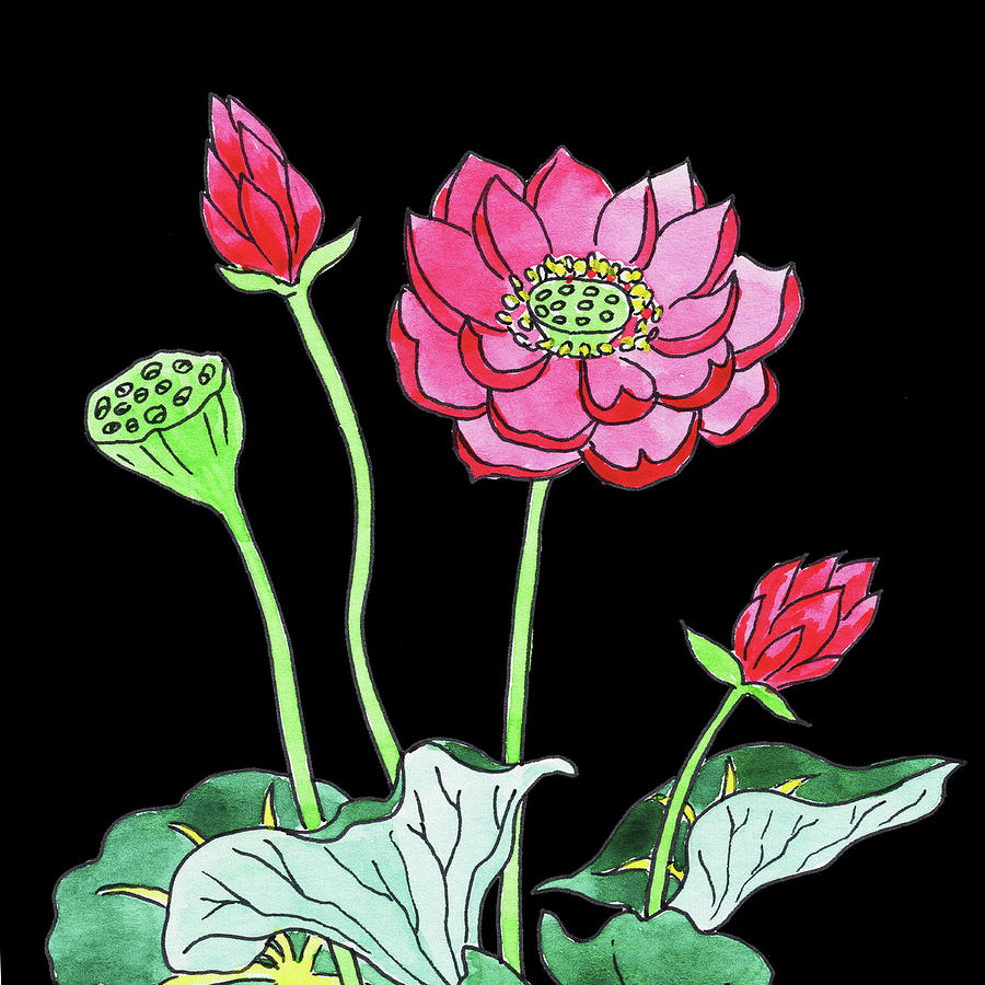 Watercolor Flowers Pink Lotus Painting