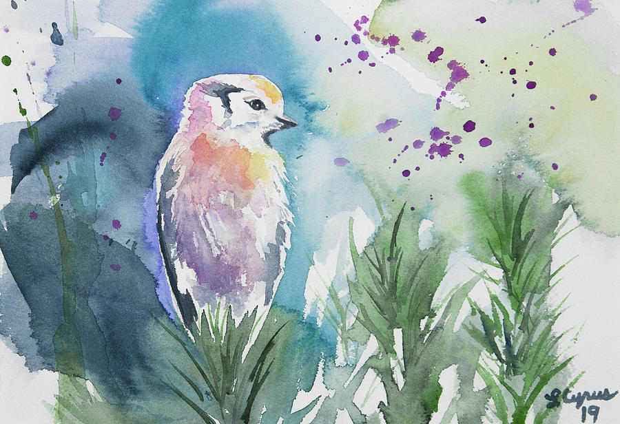 Watercolor - Gray Jay Solitude Painting by Cascade Colors