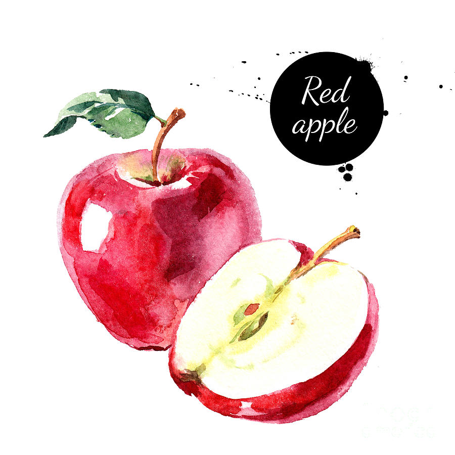 Symbol Digital Art - Watercolor Hand Drawn Red Apple by Pimlena Symbol Digital Art - Watercolor Hand Drawn Red Apple by Pimlena