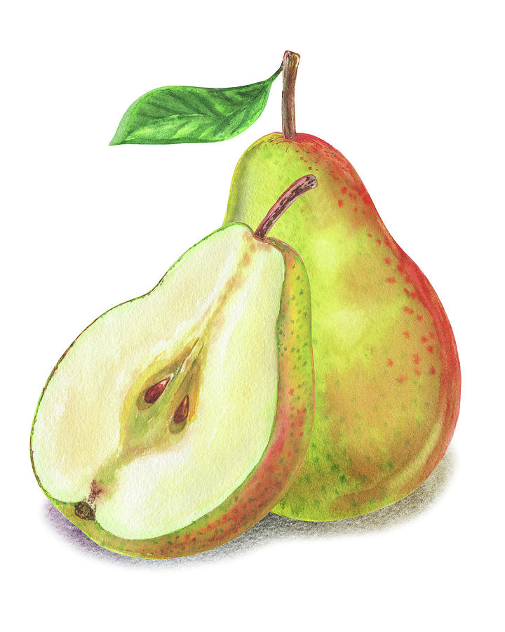 Watercolor Illustration Of Whole And Cut Pear Painting