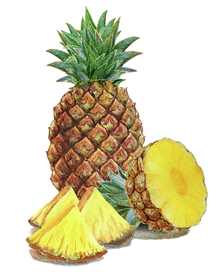 Watercolor Illustration Of Whole And Sliced Pineapple Painting