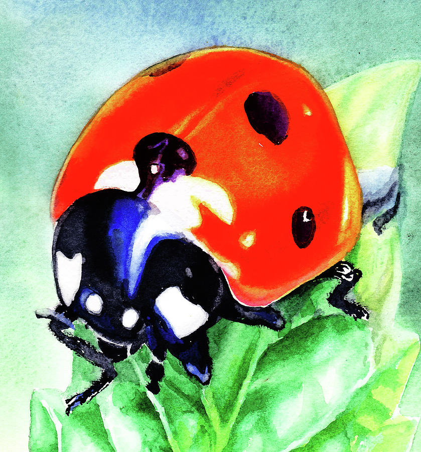 Watercolor Ladybug Painting by Irina Sztukowski