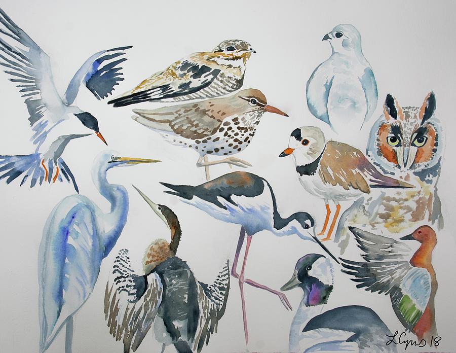 Watercolor - North American Birds Detail Painting by Cascade Colors