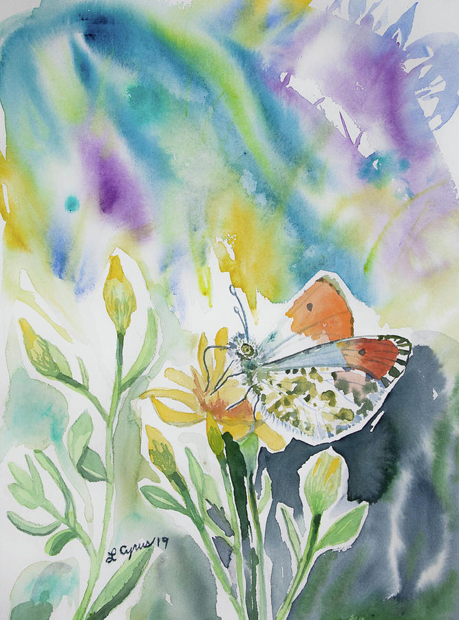 Watercolor - Orange-tip Butterfly with Wildflower Painting by Cascade Colors