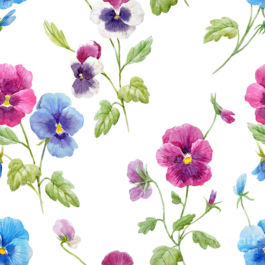 Watercolor Pansy Flower Pattern Digital Art by Zenina