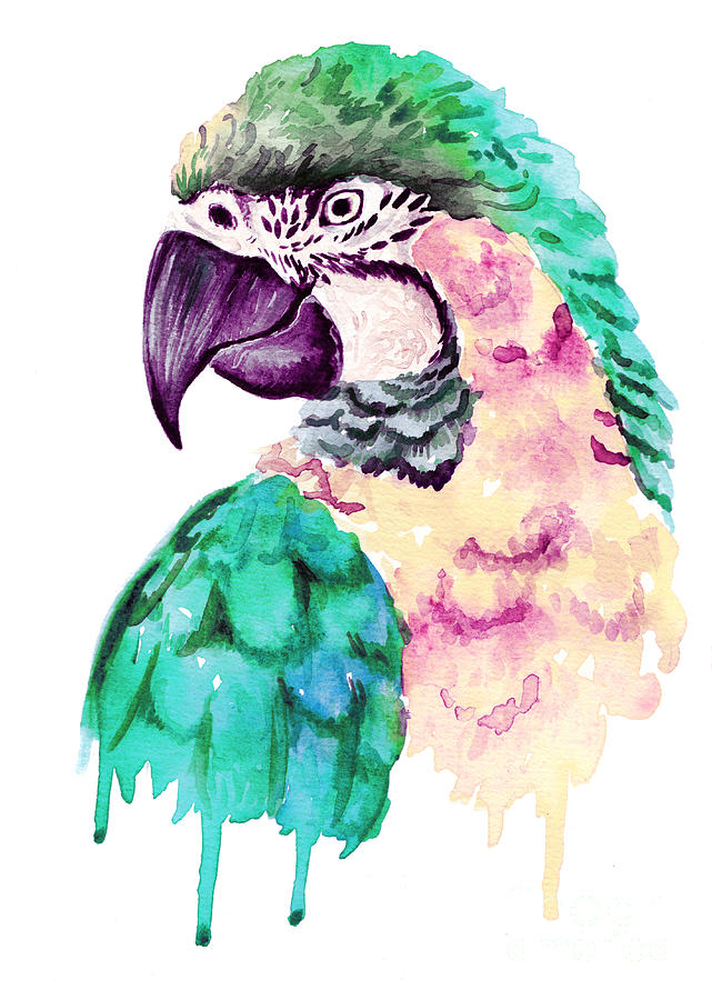 Feather Digital Art - Watercolor Parrot Portrait by Maria Sem