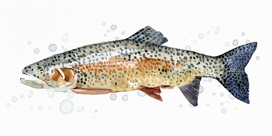 Watercolor Rainbow Trout II Painting by Emma Caroline - Fine Art America