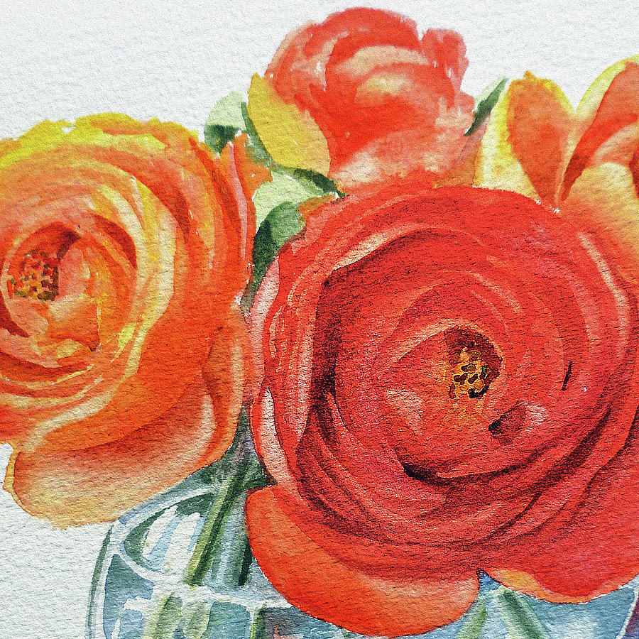 Watercolor Ranunculus Flowers Close Up Painting
