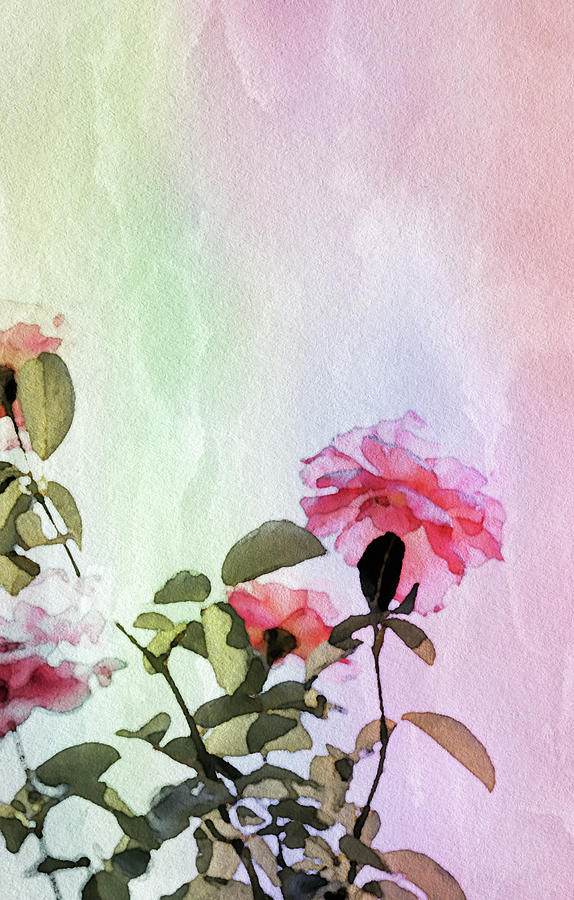 Watercolor Rose Mixed Media by Susan Maxwell Schmidt