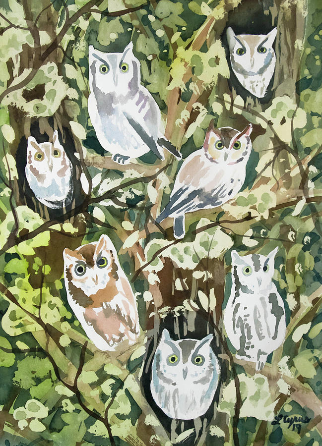 Watercolor - Screech Owl and Forest Design Painting by Cascade Colors