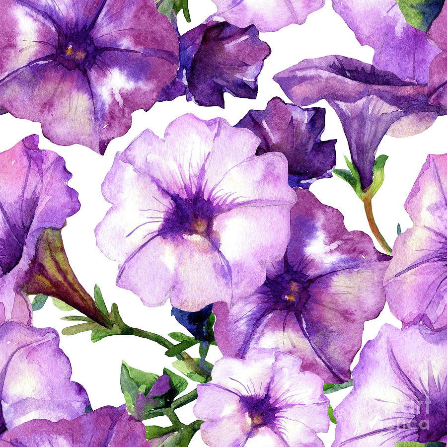 Watercolor Seamless Pattern Of Petunia Digital Art by Svitanola