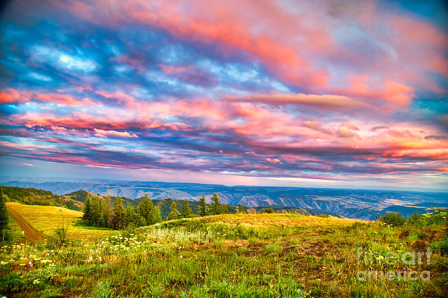 Watercolor sunset in the Blue Mountains Photograph by Bruce Block