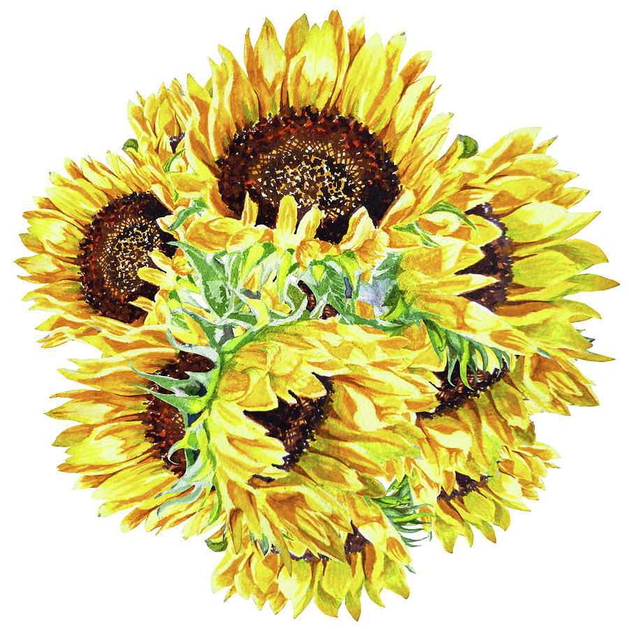 Watercolor Sunshine Of Sunflowers Painting