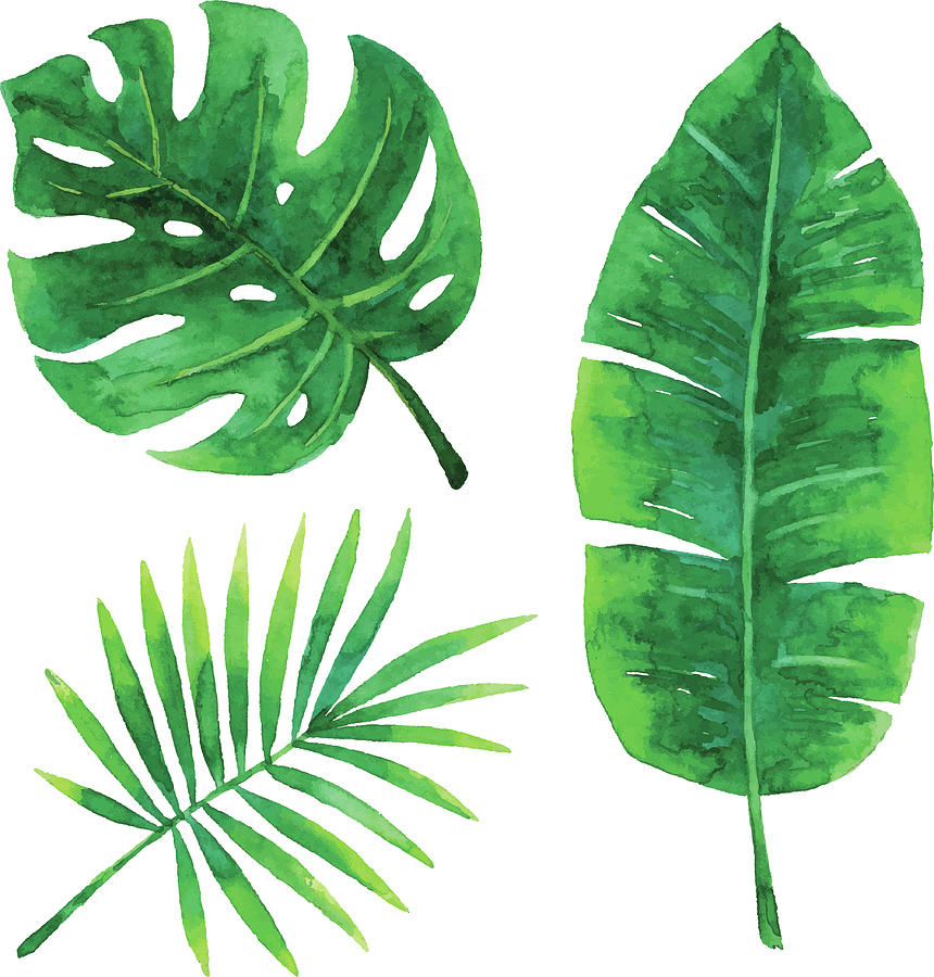 Watercolor Tropical Leaves by Saemilee