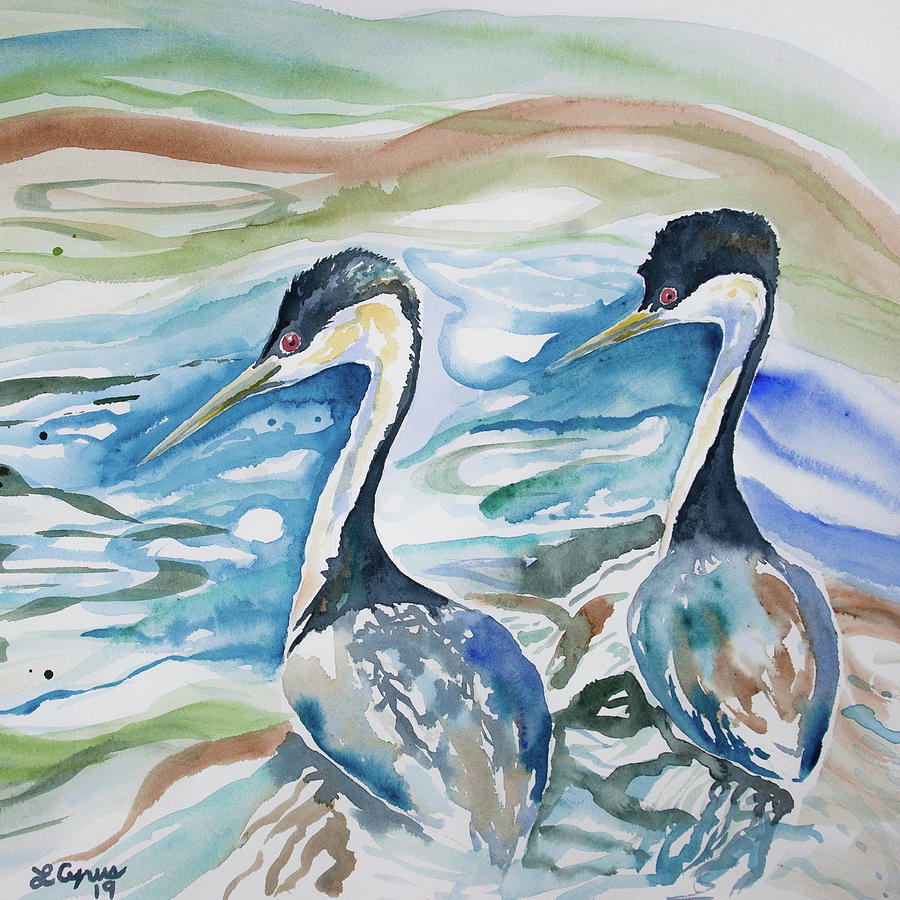 Watercolor - Western Grebe Symmetry Painting by Cascade Colors