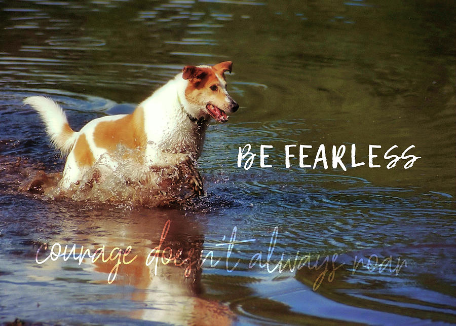 WATERDOG quote Photograph by JAMART Photography