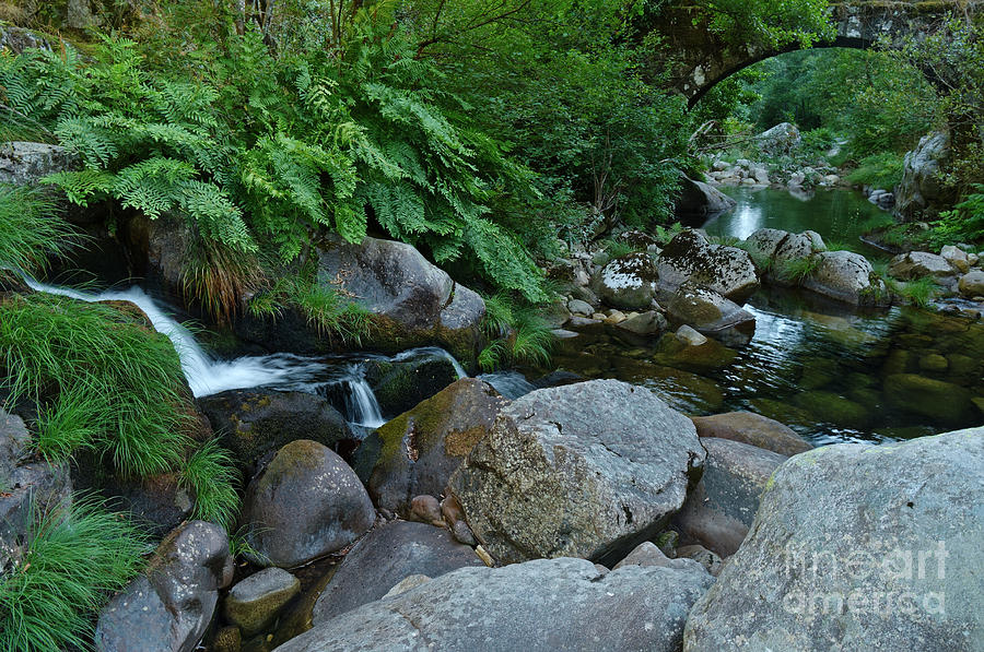 Bridge Photograph - Waterfall And Ancient Bridge In Carvalhais by Angelo DeVal Bridge Photograph - Waterfall And Ancient Bridge In Carvalhais by Angelo DeVal
