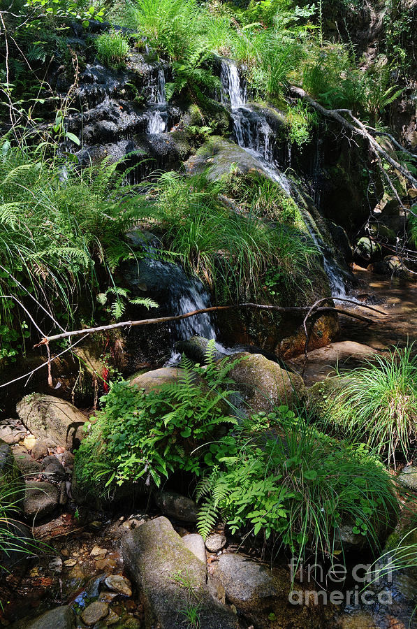 Waterfall and peaceful nature in Carvalhais by Angelo DeVal Waterfall and peaceful nature in Carvalhais by Angelo DeVal