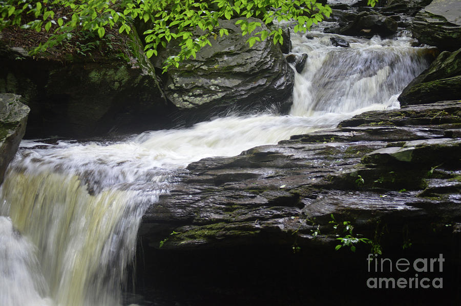 Waterfall at Ricketts Glen Photograph by Aicy Karbstein