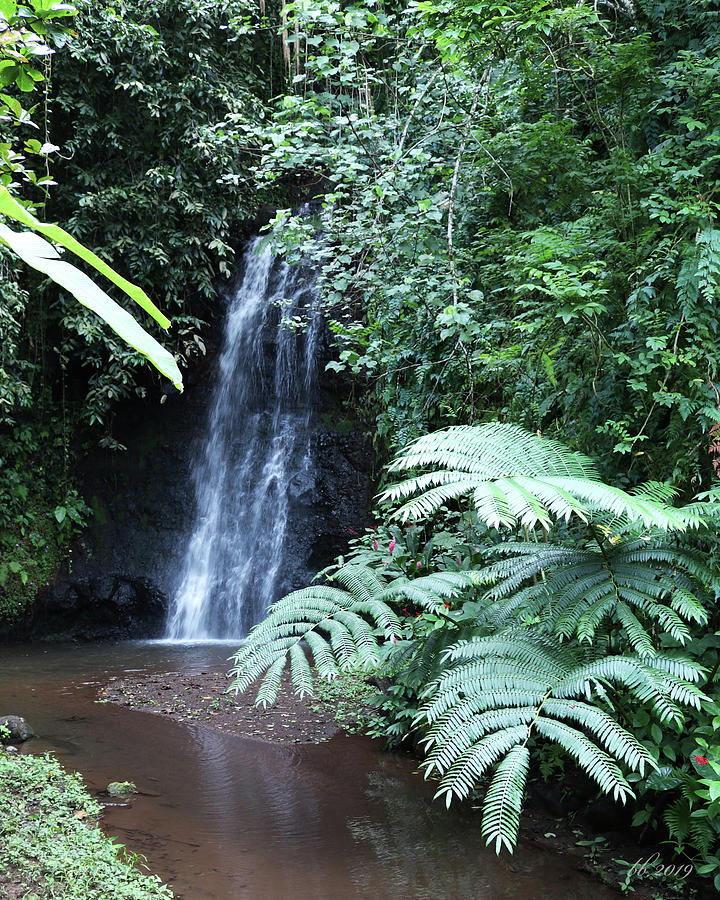 Waterfall Photograph by Brad Brailsford