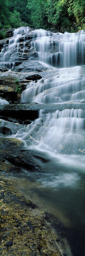 waterfall glen forest