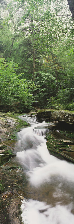 Waterfall In A Forest, Kitchen Creek Photograph By Panoramic Images 