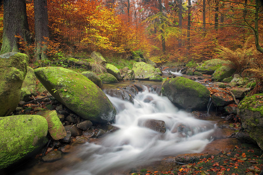 Waterfall In Beautiful Autumn Setting Photograph by Dietermeyrl