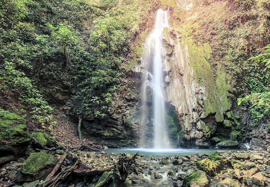 Waterfall in Corcovado National Park Photograph by Alexey Stiop