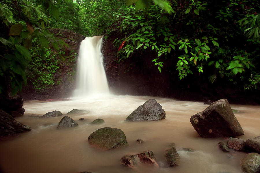 Waterfall In Costa Rica Photograph by Zxvisual