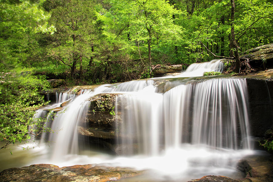 Waterfall In Forest, Burden Falls Photograph by Panoramic Images