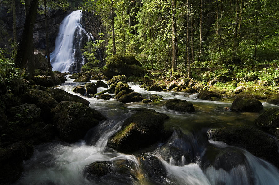 Waterfall In Forest Photograph by Franz Aberham